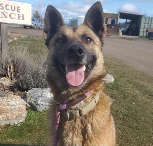 Photo of Dakota