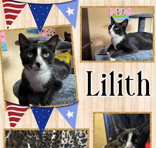 Photo of Lilith