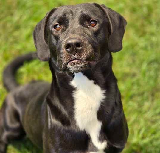 Photo of Timber