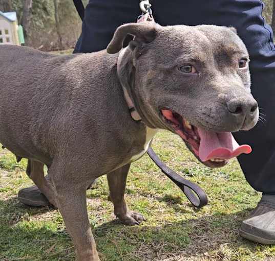 Photo of Roxy Roo