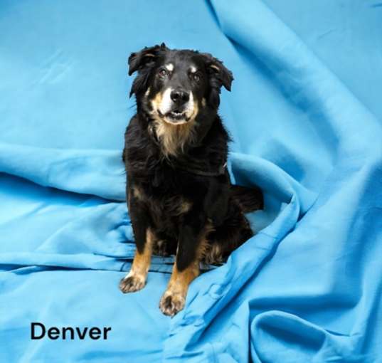 Photo of Denver