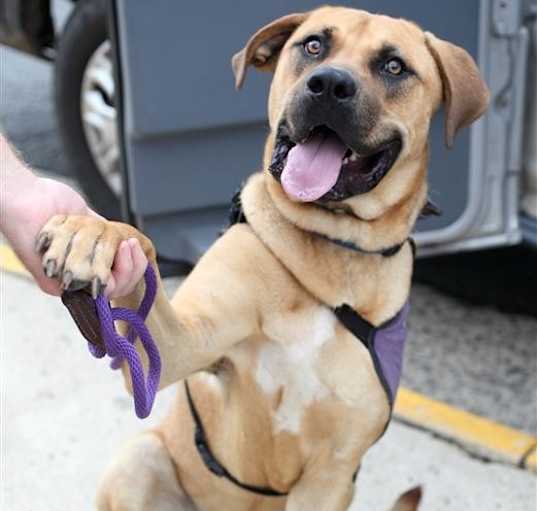 Photo of Scooby 2