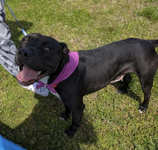 Photo of Athena