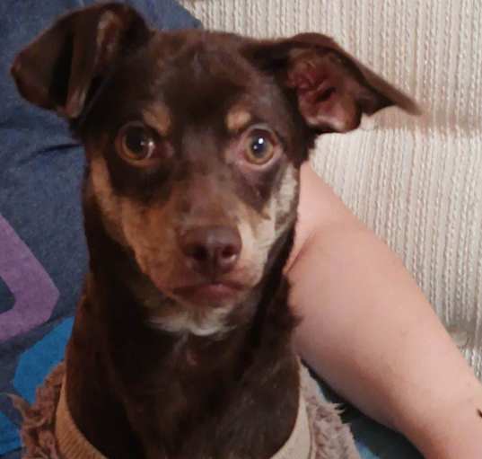 Photo of Oliver  Ollie