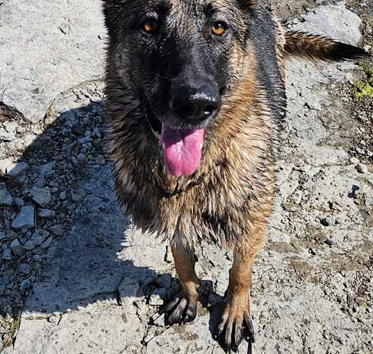 Photo of Storm