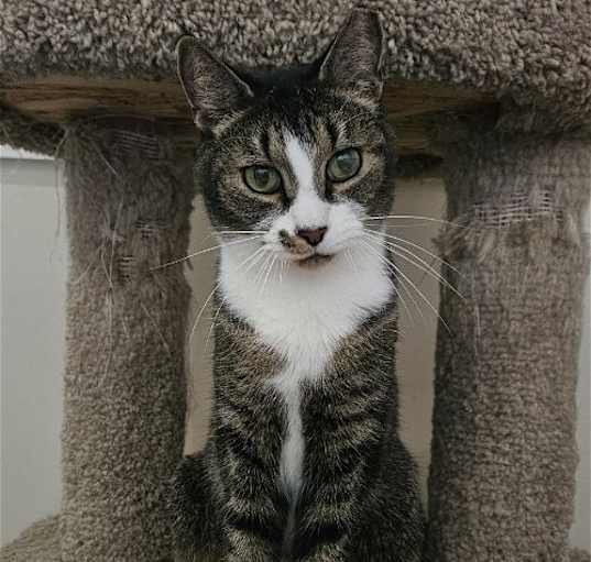 Photo of Hudson