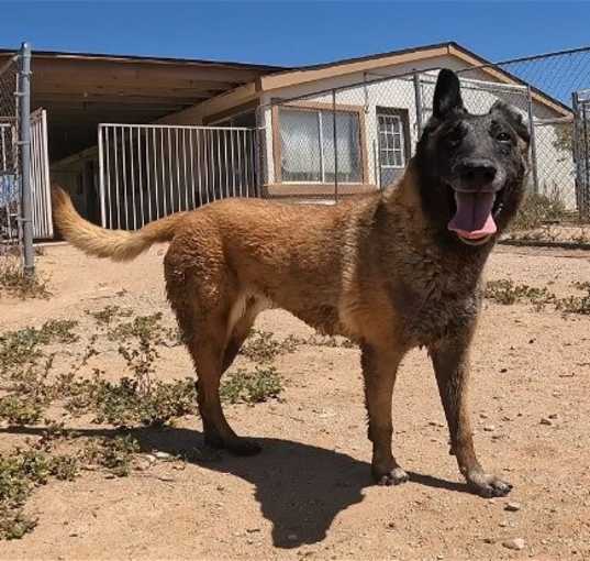 Photo of Lakota
