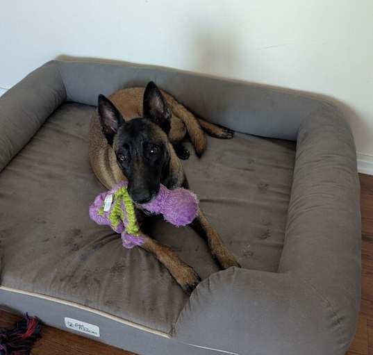 Photo of Tayla - located in Florida