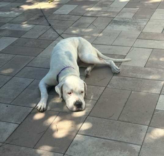 Photo of WYATT
