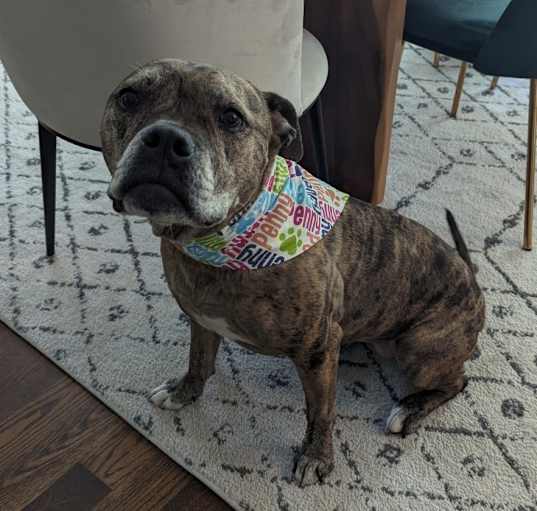 Photo of Penny