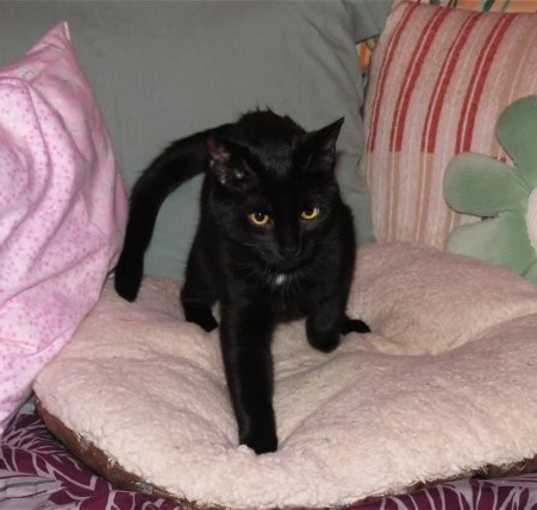 Photo of Mavis 2