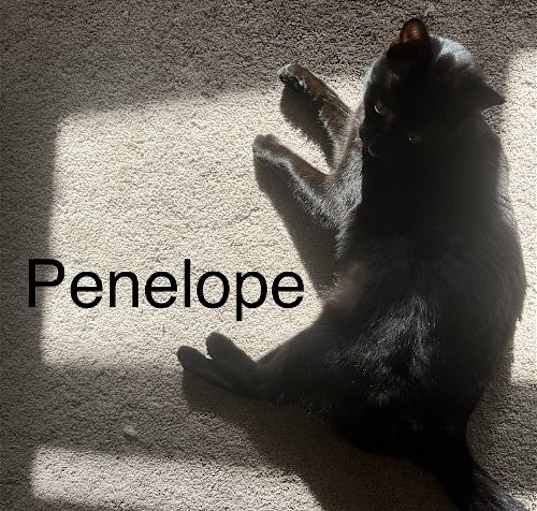 Photo of Penelope