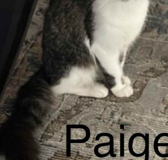 Photo of Paige