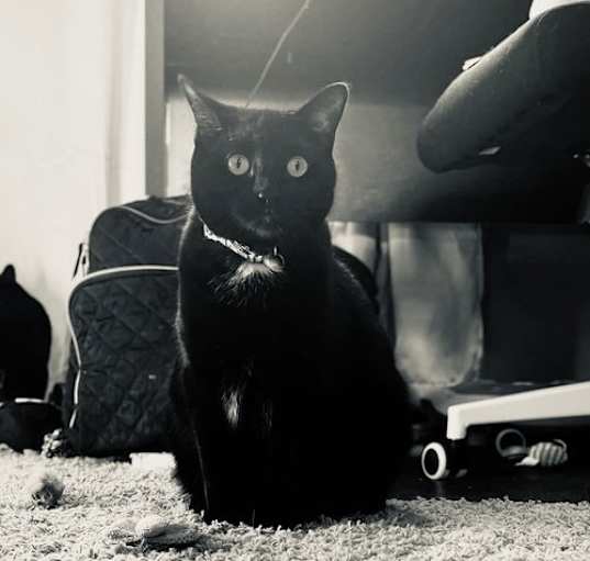 Photo of Bree