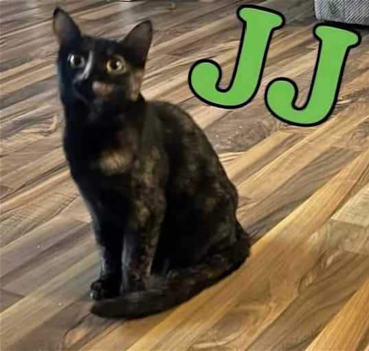 Photo of JJ