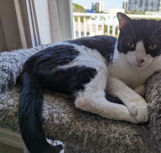 Photo of Fran