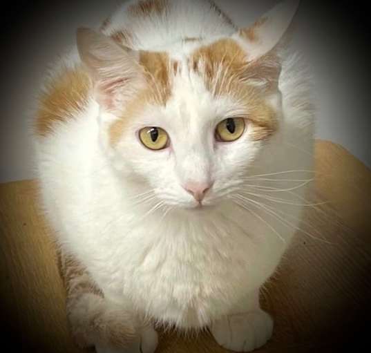 Photo of Sophie