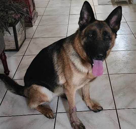 Photo of MILA