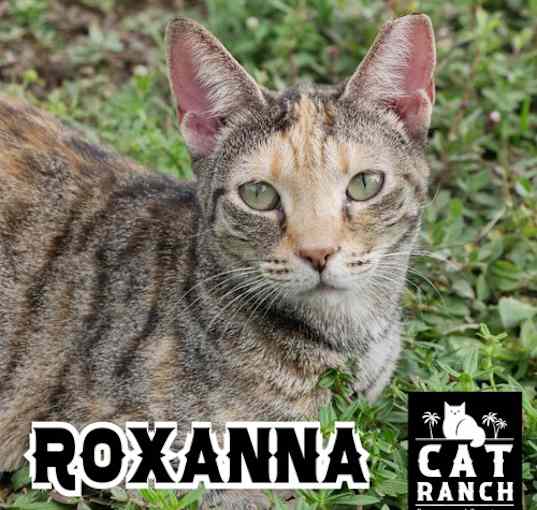 Photo of Roxanna