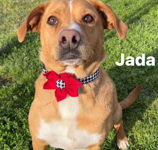 Photo of Jada