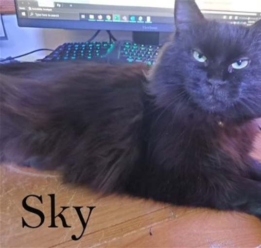Photo of Sky