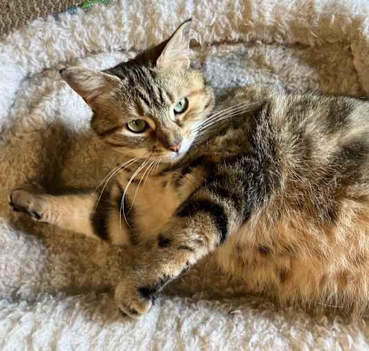 Photo of Tiny