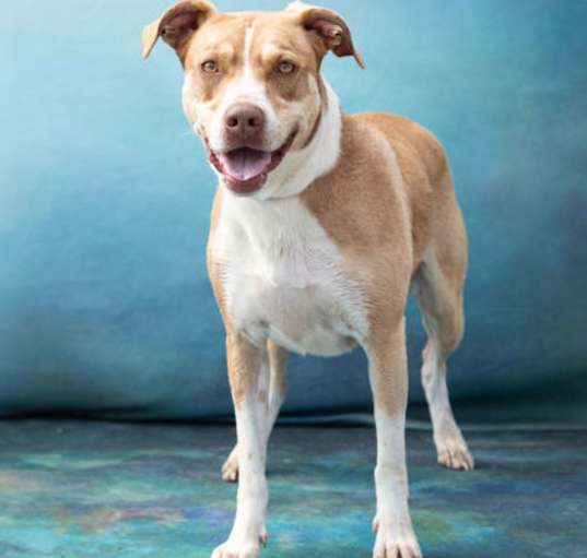 Photo of Winnie