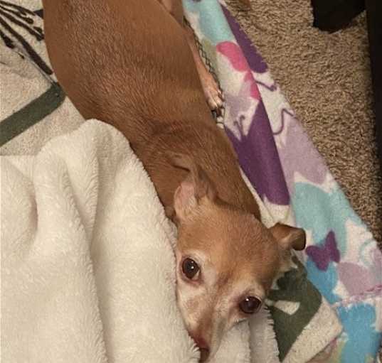 Photo of CHANEL (COURTESY POST)