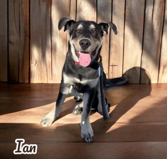 Photo of Ian