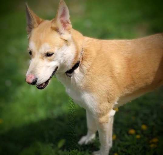 Photo of CoCo