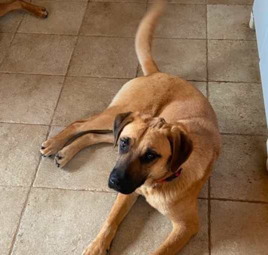 Photo of Pumpkin