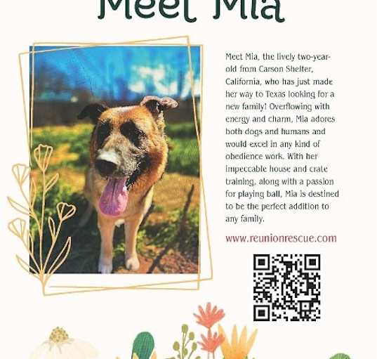 Photo of Mia