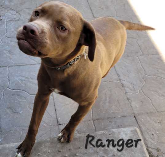 Photo of Ranger