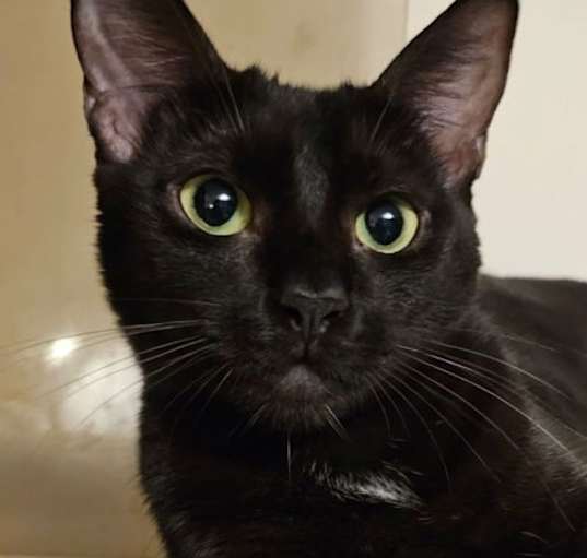 Photo of Madeline
