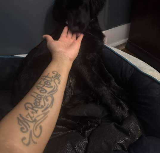 Photo of Cleo