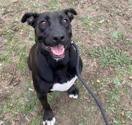 Photo of Kimber