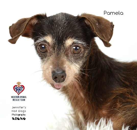 Photo of Pamela