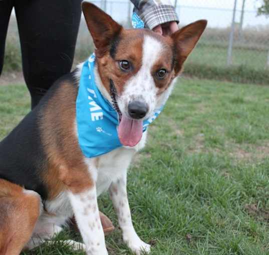 Photo of Argo