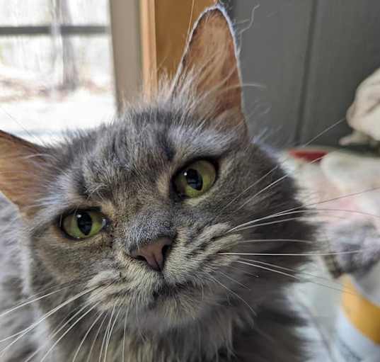 Photo of Martha