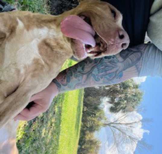 Photo of Snickerdoodle