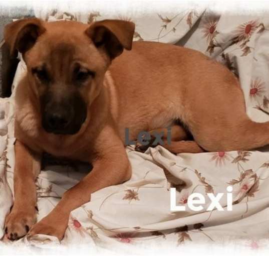 Photo of Lexi