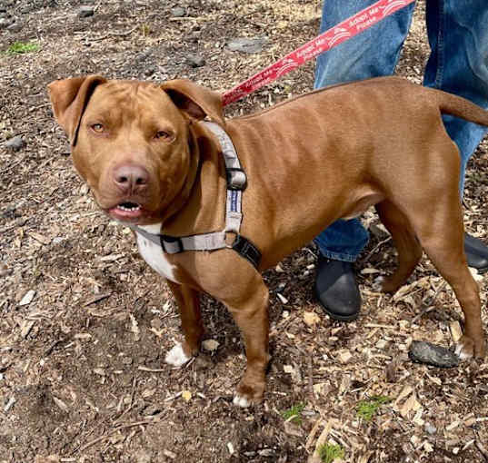 Photo of Buster brown