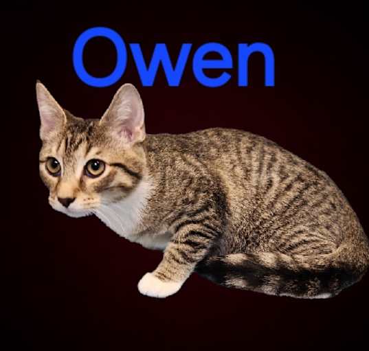 Photo of Owen @ petsmart in jackson