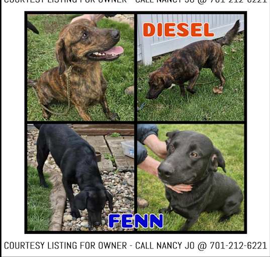 Photo of Fenn & Diesel-COURTESY LISTING