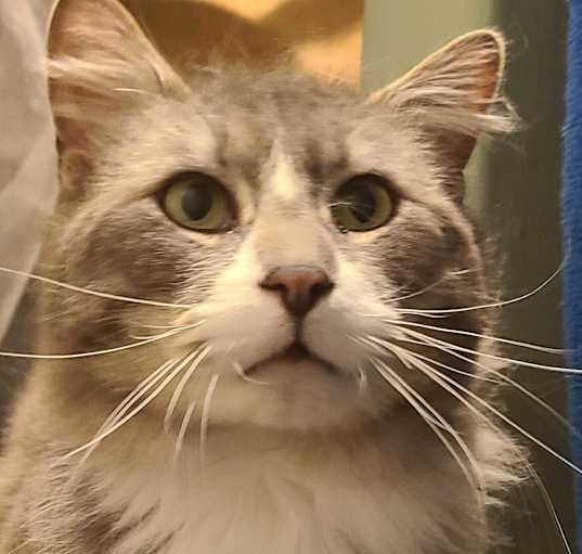 Photo of Max