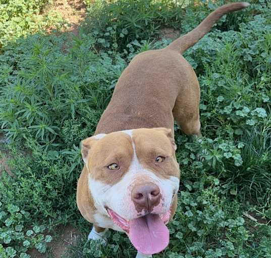 Photo of Duke
