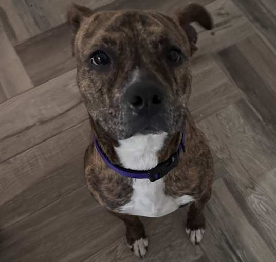Photo of Carmelo
