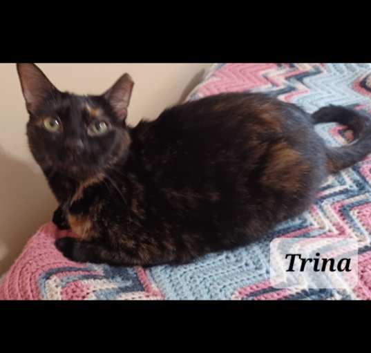 Photo of Trina - shy & loving