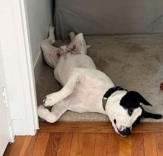 Photo of Benny