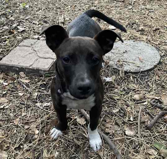 Photo of Minnie